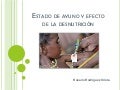 Estado de ayuno