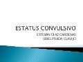 Estatus convulsivo