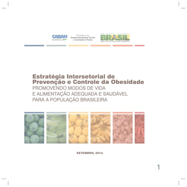Estratégia Intersetorial de Prevenção e Controle da Obesidade 