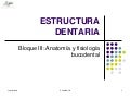Estructura Dentaria