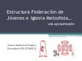 Estructura federación de jóvenes e iglesia metodista