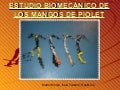Estudio BiomecáNico De Los Mangos De Piolet
