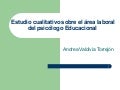 Estudio Cualitativo