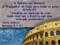 “Andemos em novidade de vida”