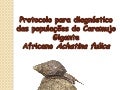 Protocolo para Diagnóstico de Populações Achatina fulica 