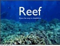 Reef - ESUG 2010