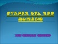 ETAPAS DEL SER HUMANO