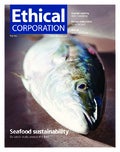 Ethical Corporation May 2013 cover and contents
