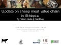 Update on sheep meat value chain in Ethiopia 