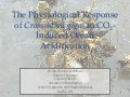 E timmins schiffman_physiomar12