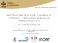 Small Ruminant Value Chain Development in Ethiopia: Initial problem analysis and related interventions