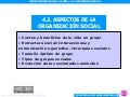 ETOLOGIA_4_2_Organizacion social
