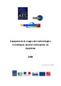 Etude Usage Tic 2009 AEC Observatoire Aquitain Economie Numerique