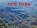 New York   Central Park