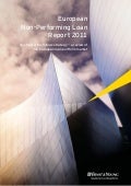 European npl report 2011