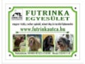 Europa Dog Show (Futrinka)
