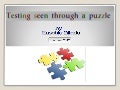 Eusebiu blindu - testing seen through a puzzle