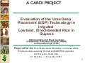 1181-Evaluation of the Urea Deep  Placement (UDP) Technology in Irrigated Lowland, Direct Seeded Rice in Guyana