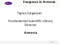 Evergreen in Armenia