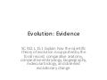 Evidence for evolution powerpoint