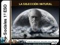 Explicación de la teoría de la evolución