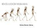 Evolución Humana