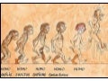 Evolution