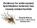 Evidence for widespread hybridization between two closely related lionfishes
