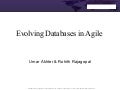 Evolving Agile Databases