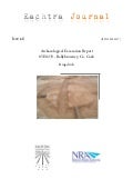 Archaeological Excavation Report  05 E0233 Ballybrowney, N8 RF