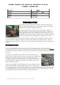 Examenadeadelantode ingles3bd