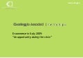 E-commerce in Italy 2009: “An opportunity during the crisis”