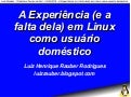 A Experiência (e a falta dela) em Linux como usuário doméstico - Luiz Henrique Rauber Rodrigues