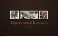 Experimental Research Overview