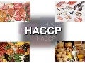  haccp