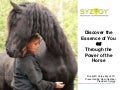 Rocky Mountain Horse Expo - Discover the Essence of You Through the Power of the Horse
