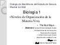 Niveles De Organizacion De La Materia