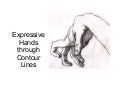 Expressive Hands