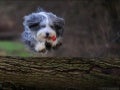 Eye-Caching Photos
