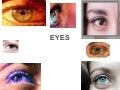 Eyes (2)