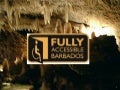 Fully Accessible Barbados Presentation 2009