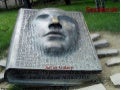 Facebook et les bibliothèques publiques