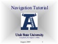 Access (SSB) Navigation Tutorial
