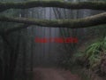 Fairy forests