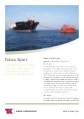 Falcon Spirit FSO