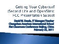 Getting Your Cyberturf: Your School in Second Life and/or OpenSim