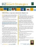 Features of a Captive Insurance Strategy 