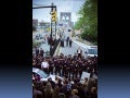 Picturing Occupy Wall Street