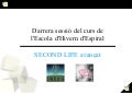 Curs SL