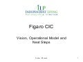 Figaro cic   vision, delivery model and next steps